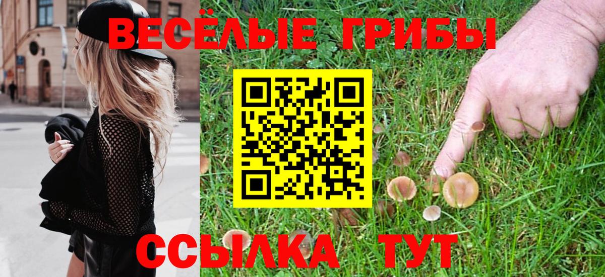 Псилоцибиновые грибы Magic Shrooms Черногорск